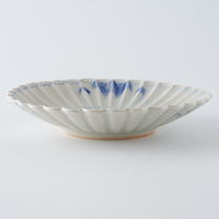 作家 鈴木まどか 安南菊割五寸浅鉢