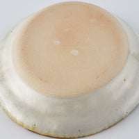 作家 市野吉記 安南手 楕円皿24cm(虎)14