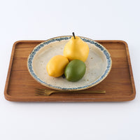 作家 市野吉記 安南手 皿(デルフト)17