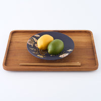 うつつ窯 作家 稲積佳谷 夢窓華 中皿 濃紺