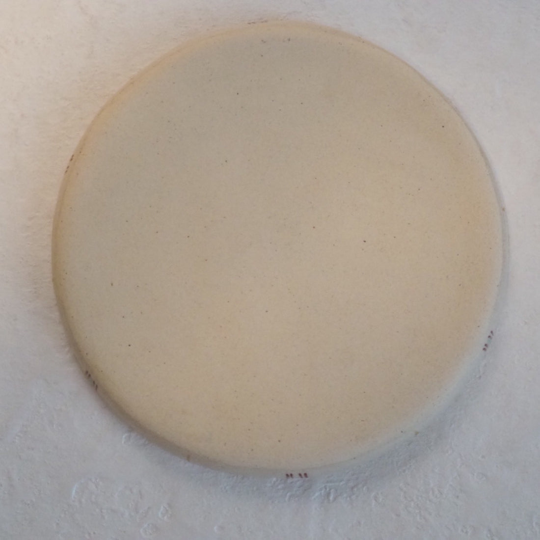 作家 加藤喜道 plate 15.5 D