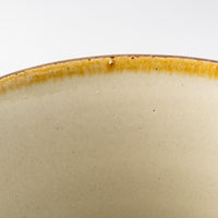 やちむん 陶眞窯 フリーカップ 染付 デイゴ唐草 やちむん 陶眞窯 やちむん