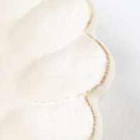 カネコ小兵製陶所 リンカ 白練 24プレート 美濃焼 カネコ小兵製陶所 美濃焼