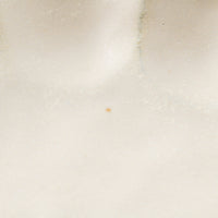 カネコ小兵製陶所 リンカ 白練 18オーバルプレート 美濃焼 カネコ小兵製陶所 美濃焼