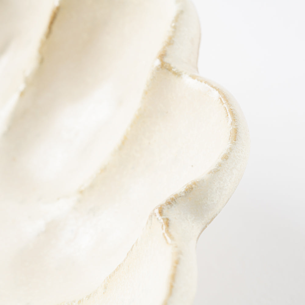 カネコ小兵製陶所 リンカ 白練 16ボウル 美濃焼 カネコ小兵製陶所 美濃焼