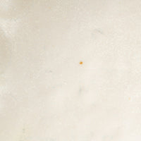 カネコ小兵製陶所 リンカ 白練 16ボウル 美濃焼 カネコ小兵製陶所 美濃焼