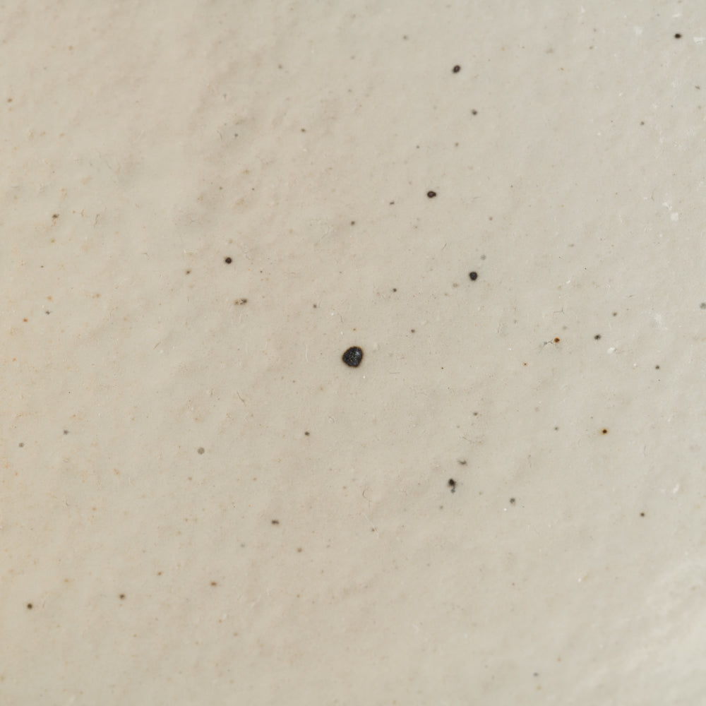 古谷製陶所 鉄散 りんご皿 大 信楽焼 古谷製陶所 信楽焼