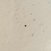 古谷製陶所 鉄散 りんご皿 大 信楽焼 古谷製陶所 信楽焼