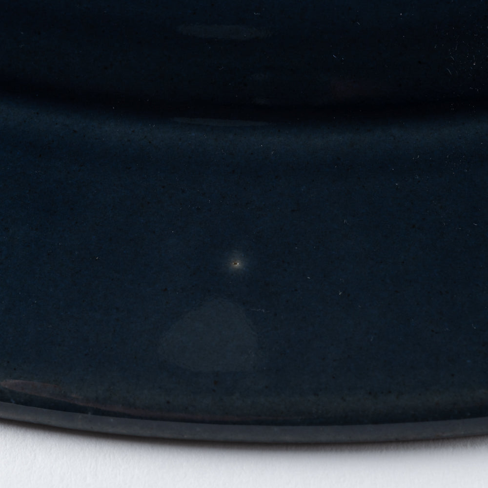 光泉窯 リーフ柄プレート 大(瑠璃) 萬古焼 光泉窯 萬古焼