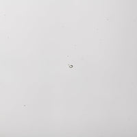 ガラス工房てとてと 叢雲 タル(クリア) ガラス工房てとてと 琉球ガラス