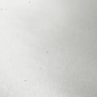ガラス工房てとてと 叢雲 中鉢(クリア) ガラス工房てとてと 琉球ガラス
