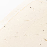 作家 添田ナオコ ドット 角皿 作家 添田ナオコ 陶磁器作家もの