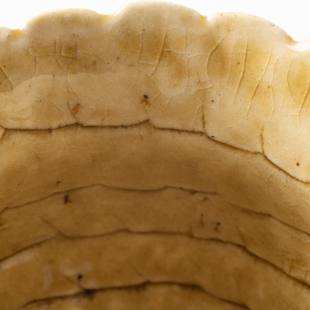 作家 添田ナオコ coil クラウンマグカップ 作家 添田ナオコ 陶磁器作家もの