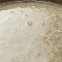 作家 加賀美円 安南手 6寸プレート皿 作家 加賀美円 陶磁器作家もの