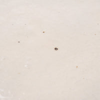 古谷製陶所 鉄散 彫刻皿7寸 信楽焼 古谷製陶所 信楽焼