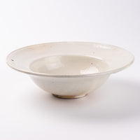 古谷製陶所 鉄散 リムボウル 大 信楽焼 古谷製陶所 信楽焼