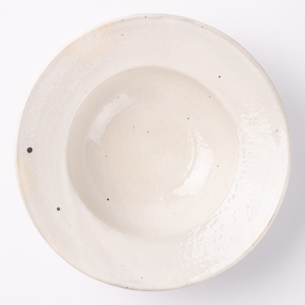 古谷製陶所 鉄散 リムボウル 大 信楽焼 古谷製陶所 信楽焼