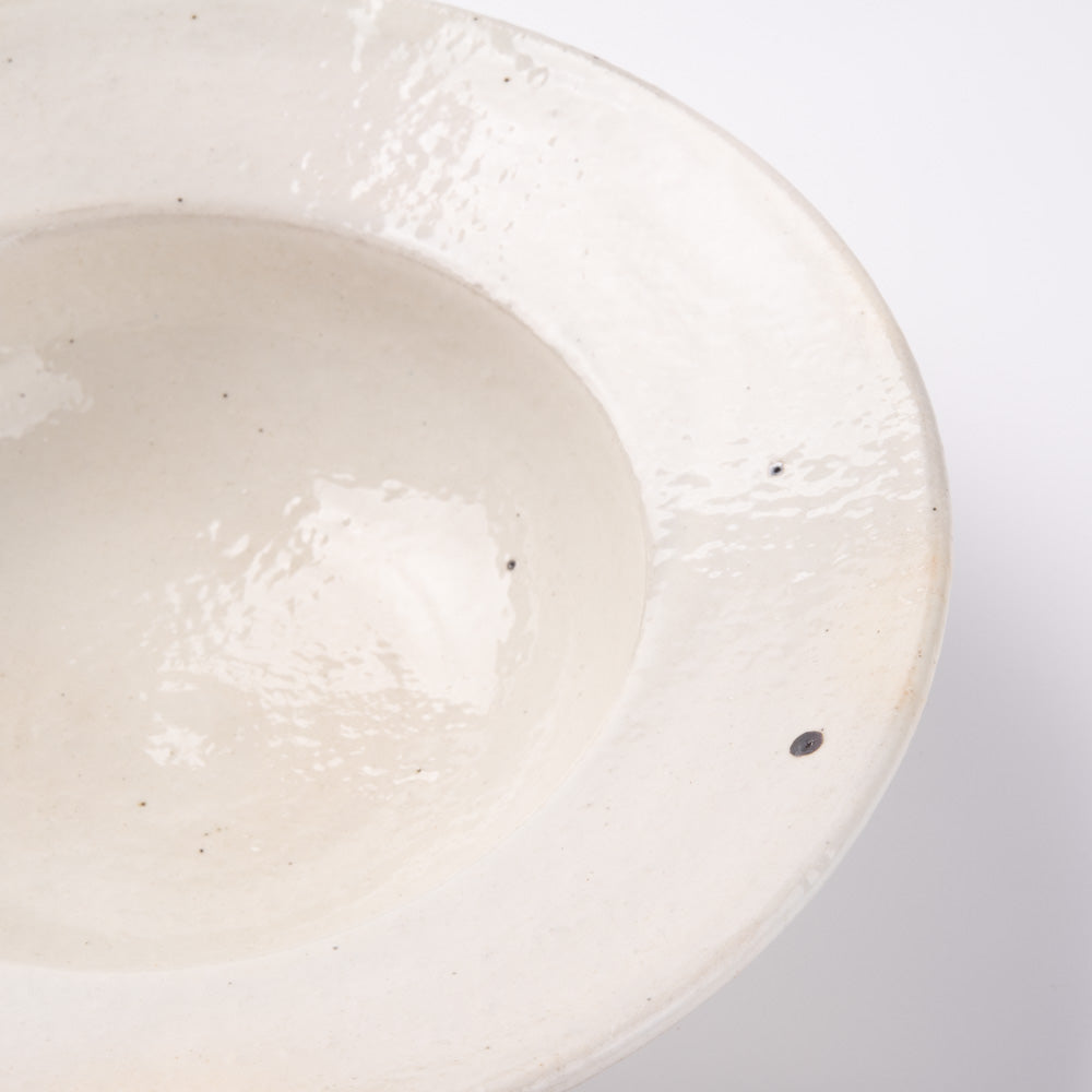 古谷製陶所 鉄散 リムボウル 大 信楽焼 古谷製陶所 信楽焼