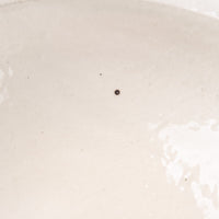 古谷製陶所 鉄散 リムボウル 大 信楽焼 古谷製陶所 信楽焼