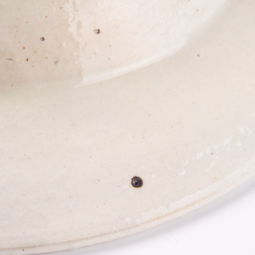 古谷製陶所 鉄散 リムボウル 大 信楽焼 古谷製陶所 信楽焼