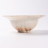 古谷製陶所 鉄散 リムボウル 小 信楽焼 古谷製陶所 信楽焼