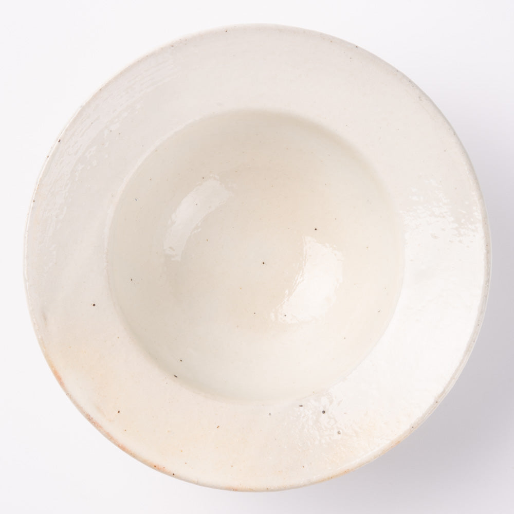 古谷製陶所 鉄散 リムボウル 小 信楽焼 古谷製陶所 信楽焼