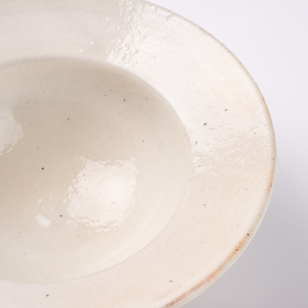 古谷製陶所 鉄散 リムボウル 小 信楽焼 古谷製陶所 信楽焼