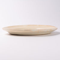 古谷製陶所 鉄散 ダ円リム皿 大 信楽焼 古谷製陶所 信楽焼