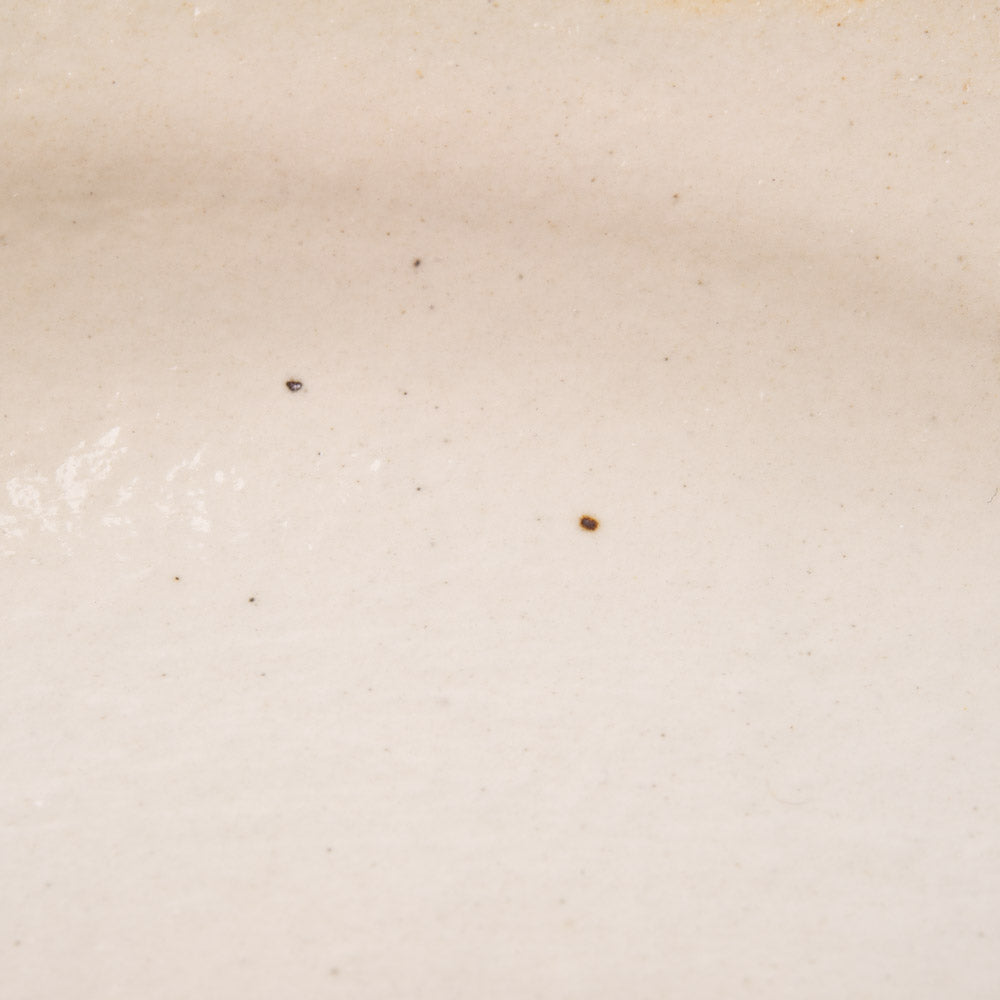 古谷製陶所 鉄散 ダ円リム皿 大 信楽焼 古谷製陶所 信楽焼