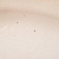 古谷製陶所 鉄散 ダ円リム皿 大 信楽焼 古谷製陶所 信楽焼