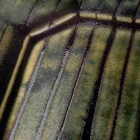 波佐見焼 紀窯 長八角皿(中) ボワーズヘッド グリーン 波佐見焼 紀窯 波佐見焼