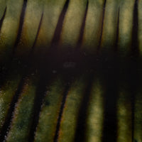 波佐見焼 紀窯 丸皿(大) ボワーズヘッド グリーン 波佐見焼 紀窯 波佐見焼