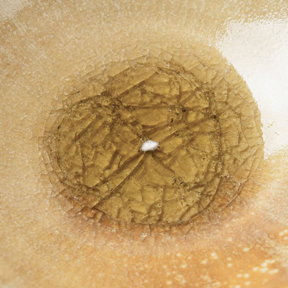 作家 杉山悠 小鉢 薄緑 作家 杉山悠 陶磁器作家もの