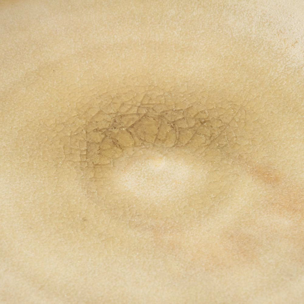 作家 杉山悠 取り皿 薄緑 作家 杉山悠 陶磁器作家もの