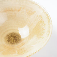 作家 杉山悠 平鉢 薄緑 作家 杉山悠 陶磁器作家もの