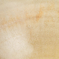 作家 杉山悠 平鉢 薄緑 作家 杉山悠 陶磁器作家もの