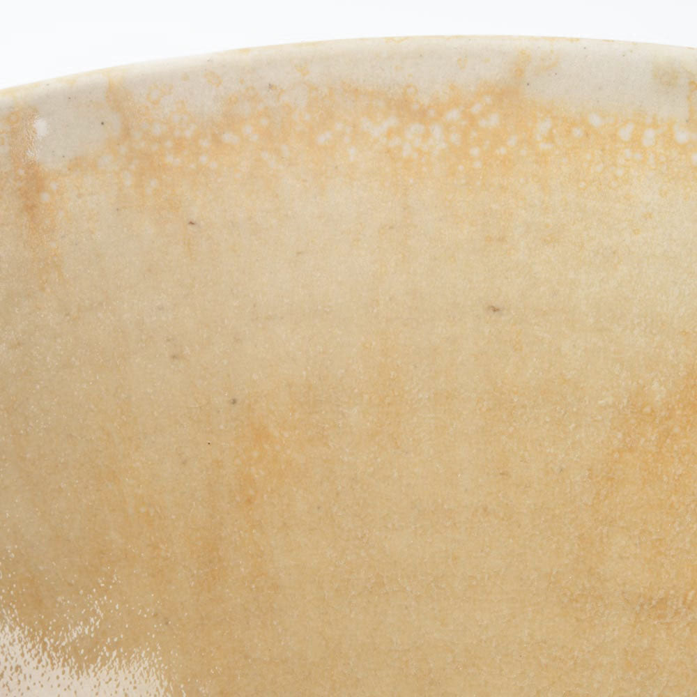 作家 杉山悠 平鉢 薄緑 作家 杉山悠 陶磁器作家もの