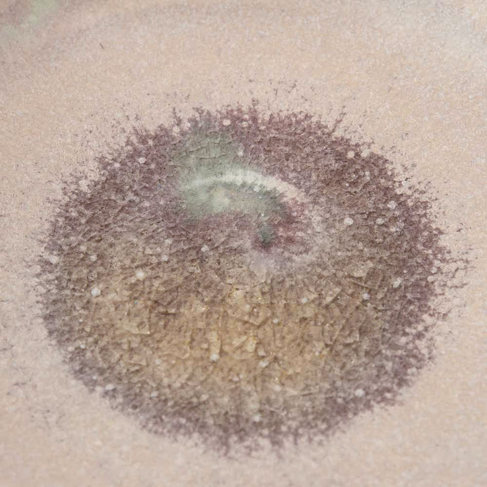 作家 杉山悠 小皿 桜色 作家 杉山悠 陶磁器作家もの