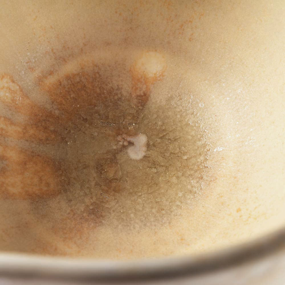 作家 杉山悠 片口 薄緑 作家 杉山悠 陶磁器作家もの