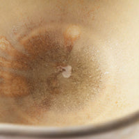 作家 杉山悠 片口 薄緑 作家 杉山悠 陶磁器作家もの