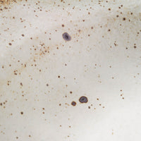 作家 山本直毅 オーバルリム鉢 アンティークホワイト 作家 山本直毅 陶磁器作家もの