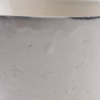 信楽焼 丸十製陶 サラダカップ 割れ粉引 信楽焼 丸十製陶 信楽焼