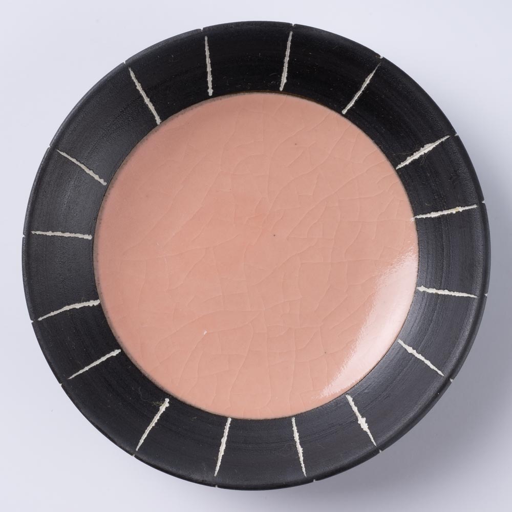 信楽焼 丸十製陶 カラーC/S ピンク 信楽焼 丸十製陶 信楽焼