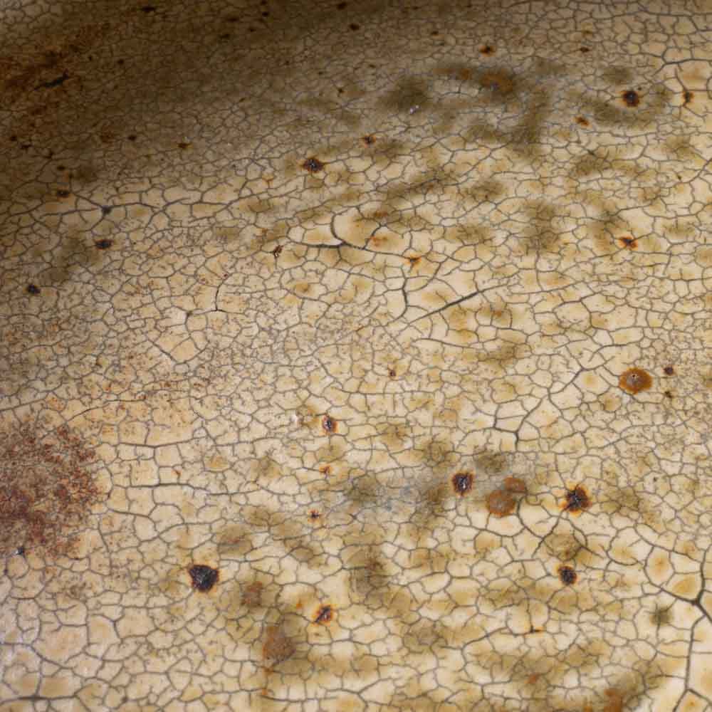 作家 馬渡新平 ヒビ粉引き 平鉢6寸 作家 馬渡新平 陶磁器作家もの