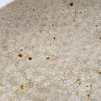 作家 馬渡新平 灰釉ヒビ粉引き 皿6寸 作家 馬渡新平 陶磁器作家もの