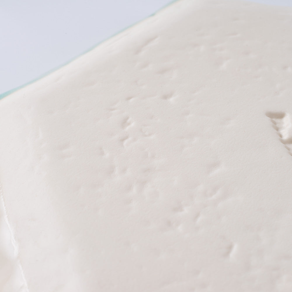 m.m.d. 取皿(二分掛け) 青磁 m.m.d. 瀬戸焼