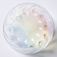 ガラス作家 竹田舞由子 ボウル「にじ光」 ガラス作家 竹田舞由子 ガラスもの