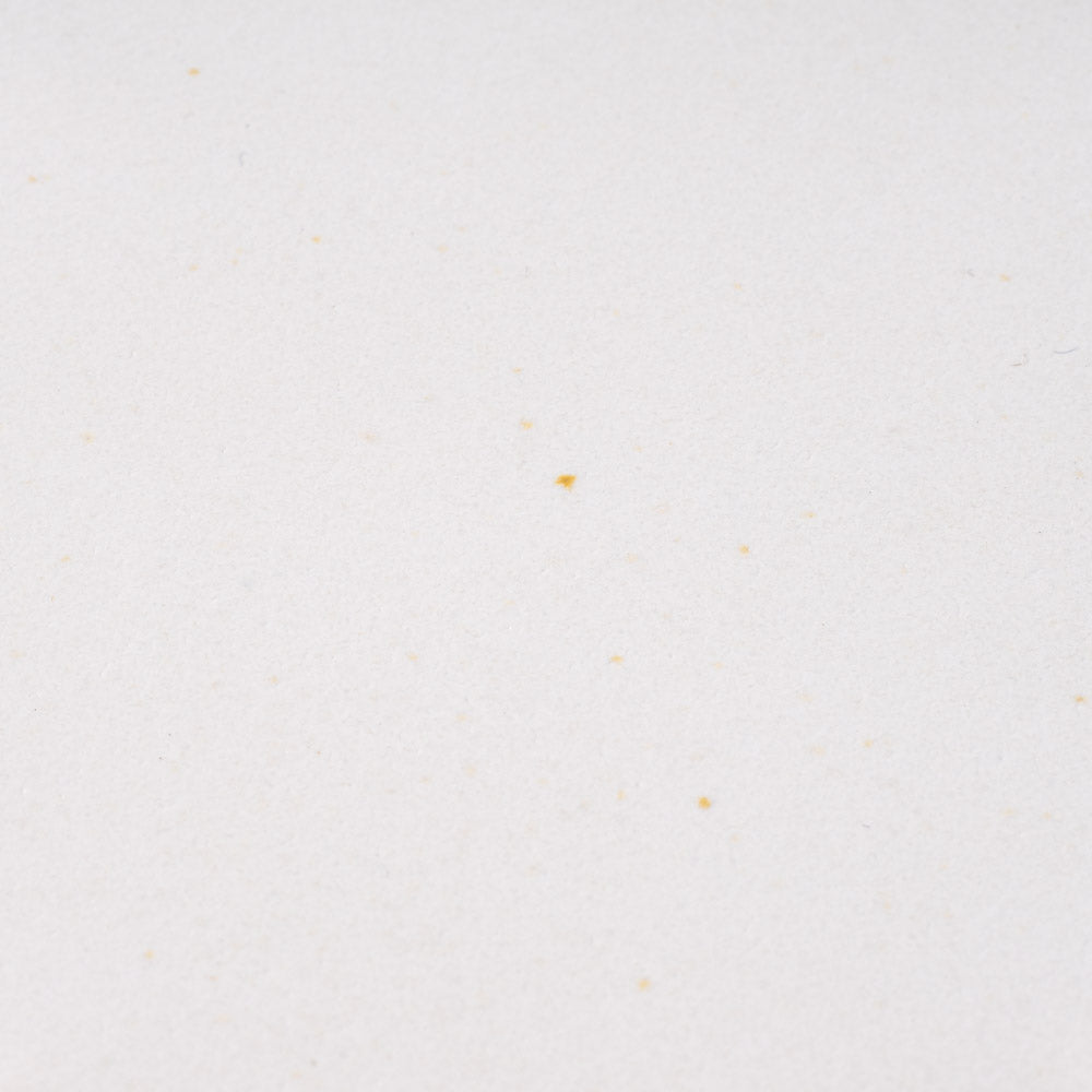 アトリエ野恵 ロココリム皿L(ホワイト) アトリエ野恵 陶磁器作家もの