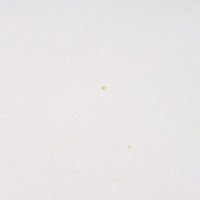 アトリエ野恵 ロココリム皿L(ホワイト) アトリエ野恵 陶磁器作家もの