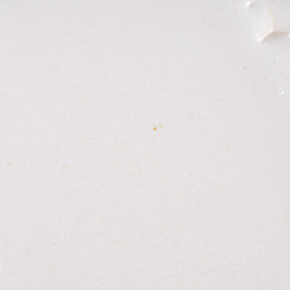 アトリエ野恵 ダリアリム皿S(ホワイト) アトリエ野恵 陶磁器作家もの